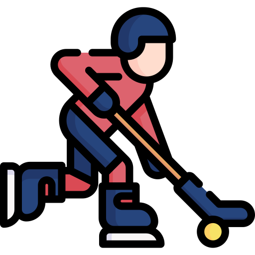Hockey Icon